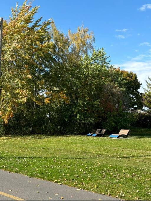 Cozy Spacious Work Friendly Lotus With Garden View High Speed Free Wi Fi And Parking Adjacent To Downtown * Montreal